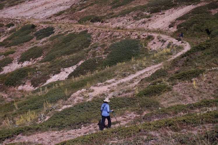 11885393_10203599765194917_2111818186842135514_n[1]